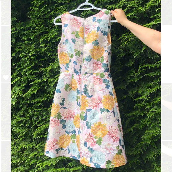 Sam Edelman Jacquard A-line Floral Dress - Picture 4 of 4